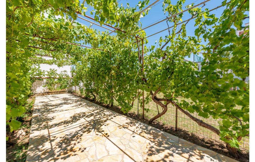 Apartment Neven Privlaka  Exterior photo